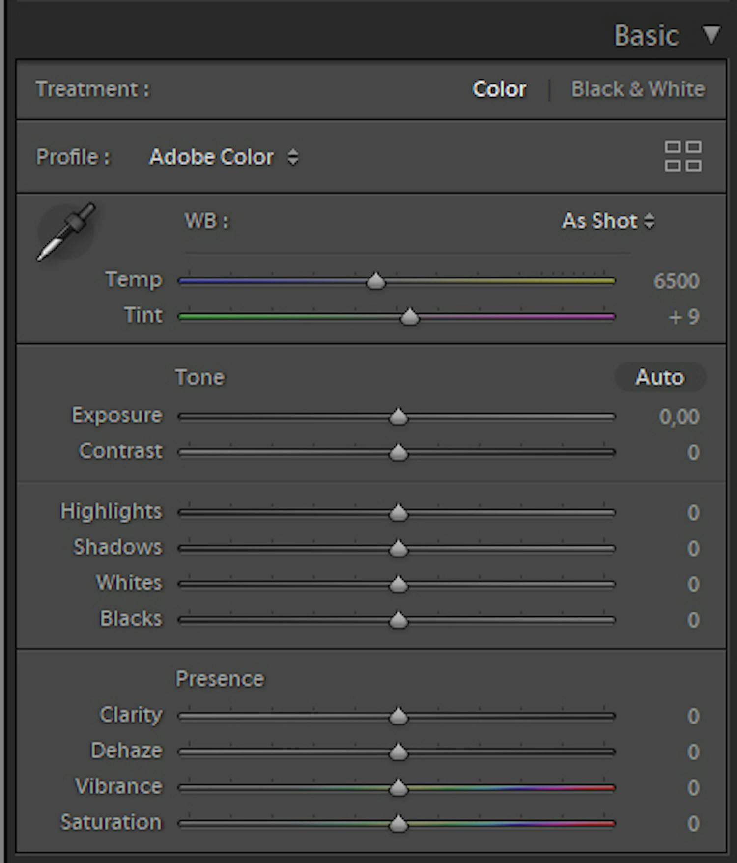 Lightroomin Basic-paneeli